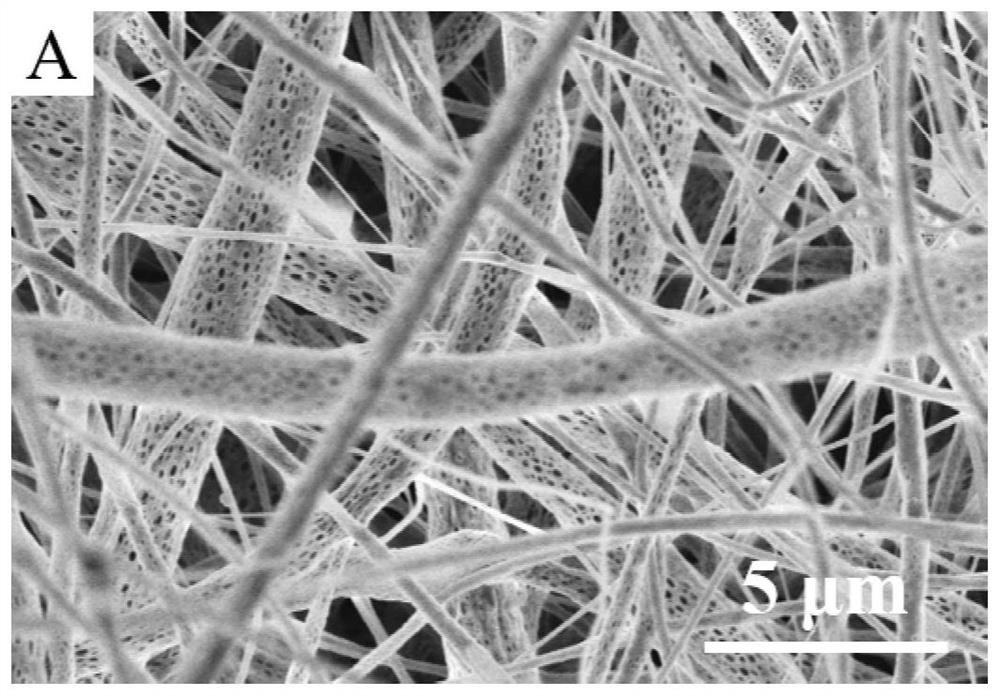 Preservative film with intelligent microorganism self-inhibition effect and preparation method of preservative film