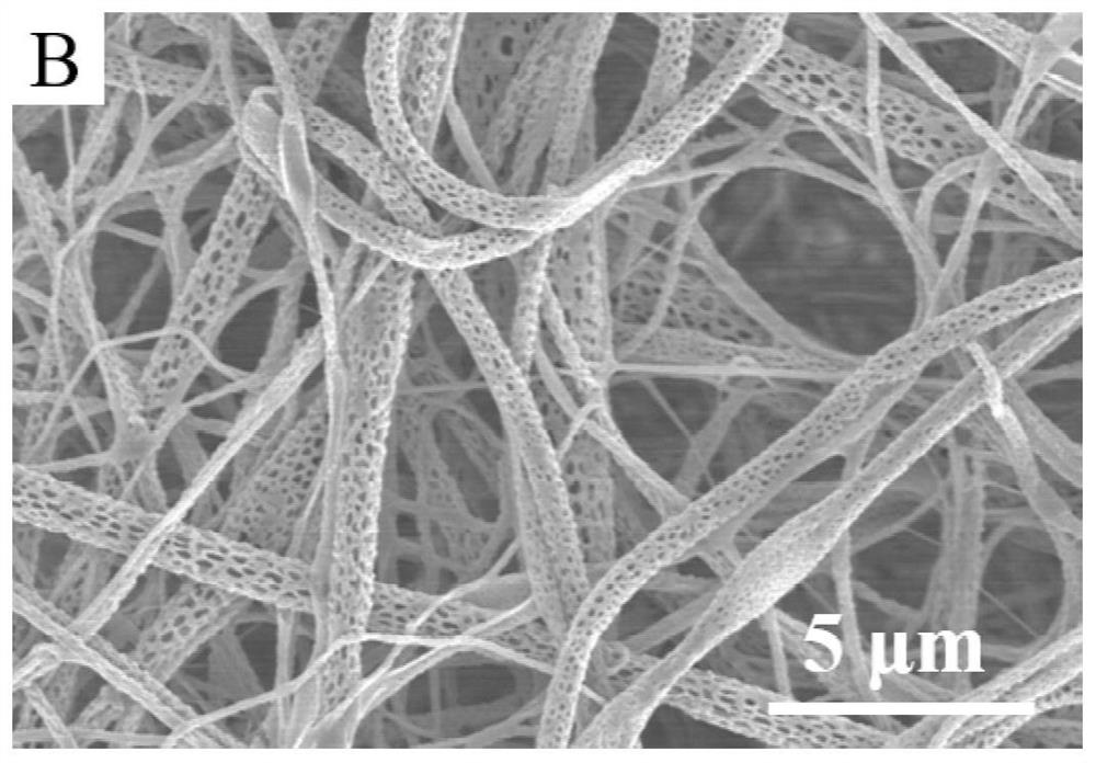 Preservative film with intelligent microorganism self-inhibition effect and preparation method of preservative film