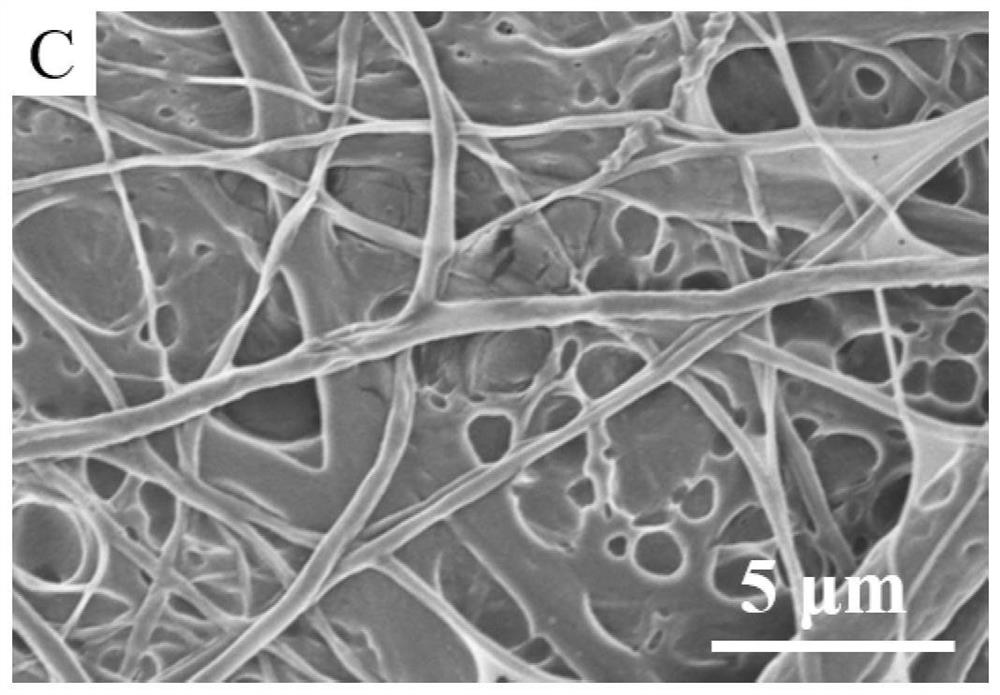 Preservative film with intelligent microorganism self-inhibition effect and preparation method of preservative film