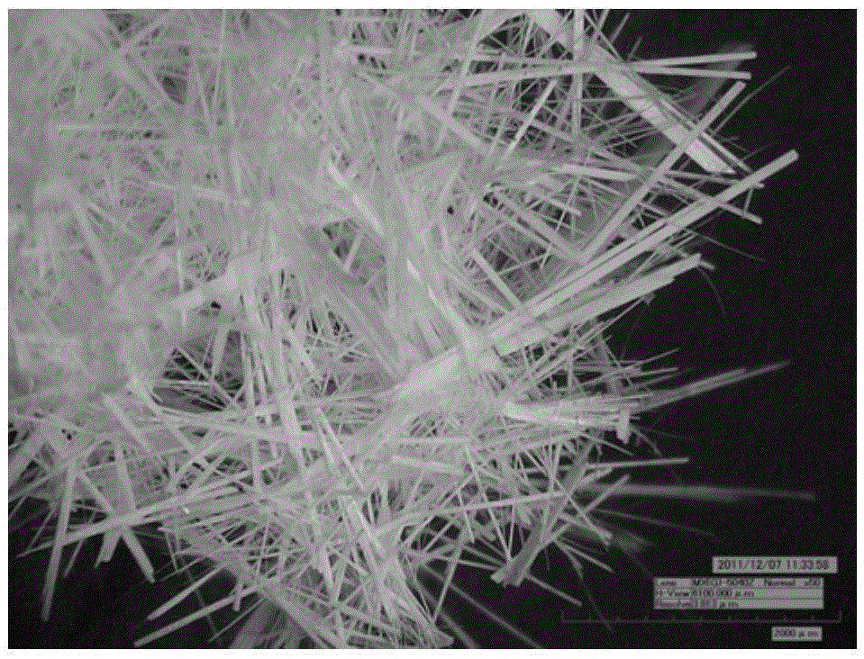 Surface modification method for calcium sulfate whiskers