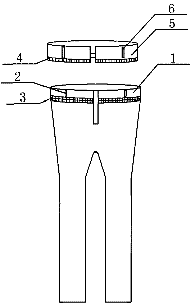 Trousers with replaceable waist of trousers