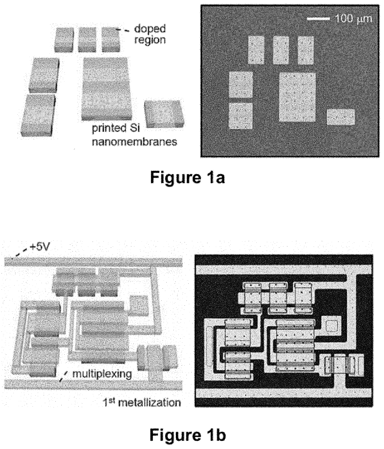 High-speed, high-resolution electrophysiology in-vivo using conformal electronics