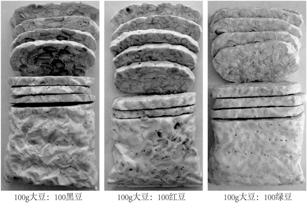 Cereal tempeh product and production method thereof