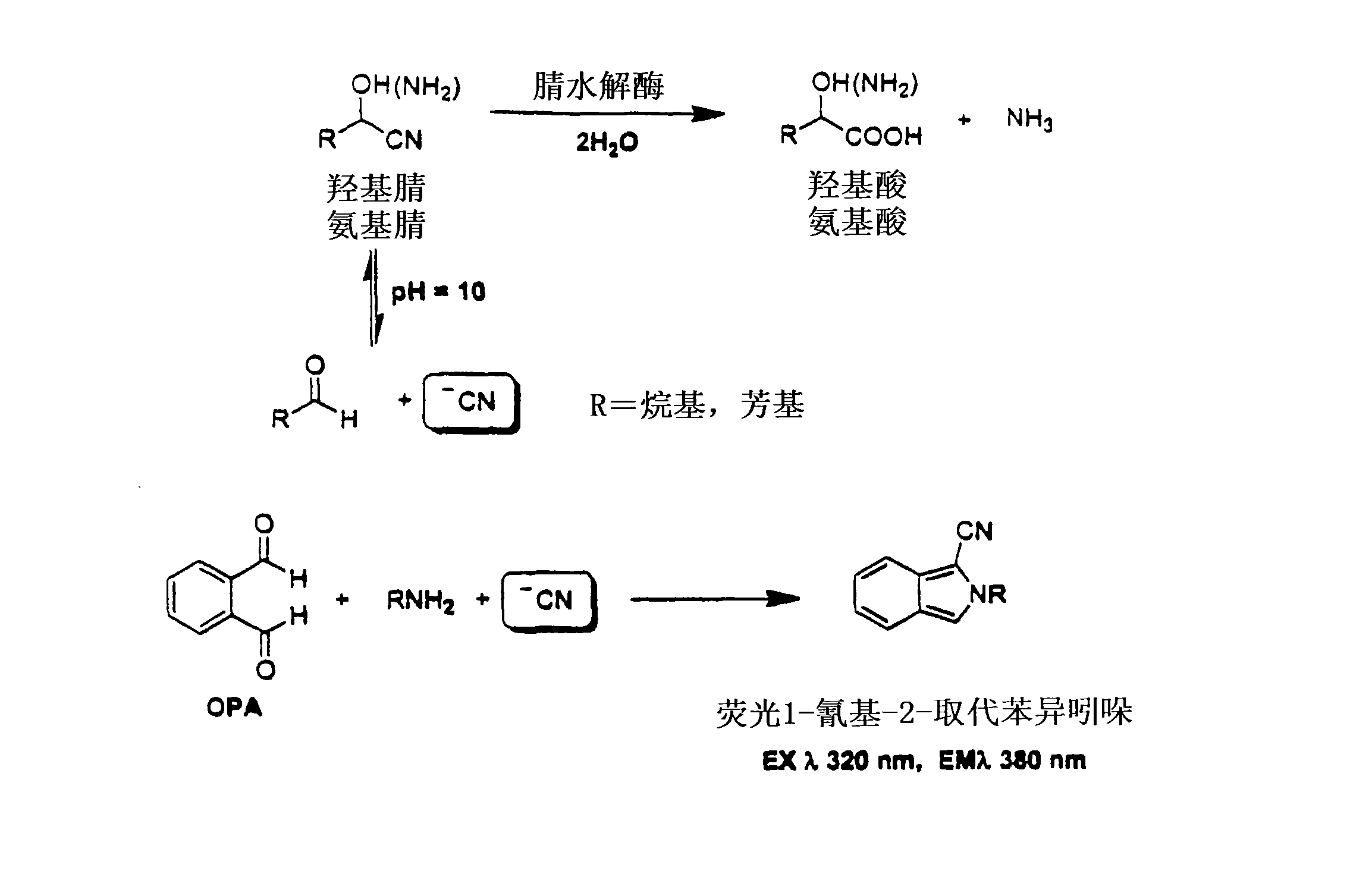 Nitrilases, nucleic acids encoding them and methods for making and using Them