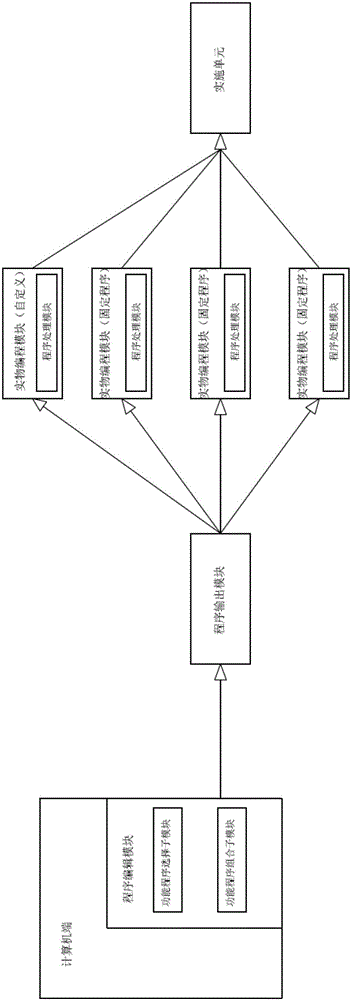 Custom editing system and method applied to entity programming module