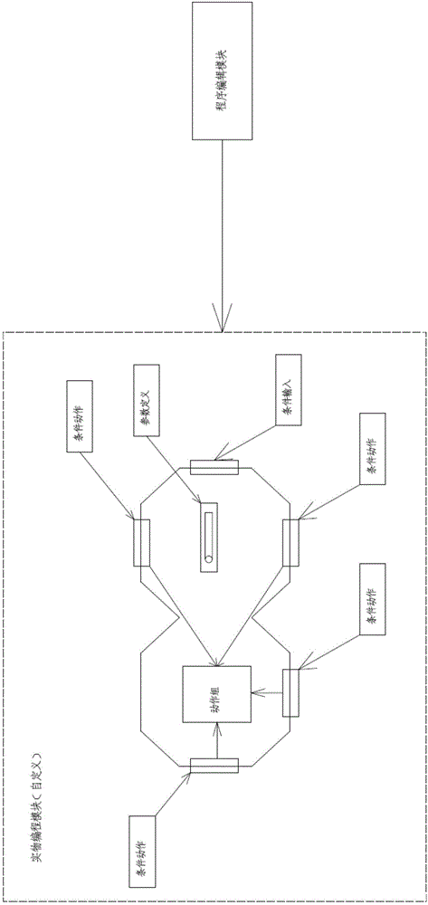 Custom editing system and method applied to entity programming module