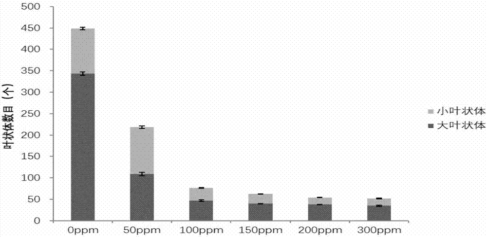 Simple and environmentally friendly method for facilitating high yield of duckweed starch