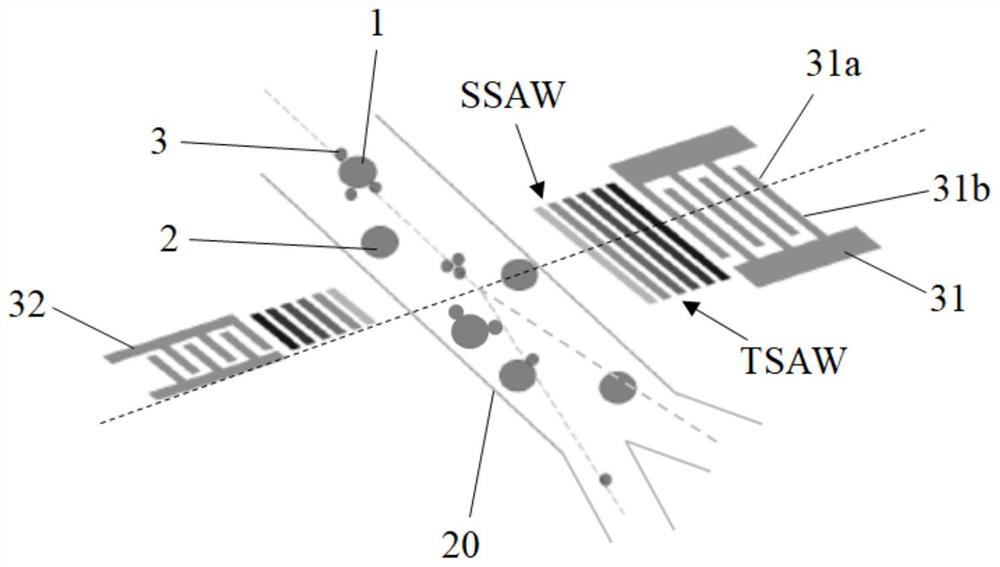 Device and method for screening particles within fluid sample