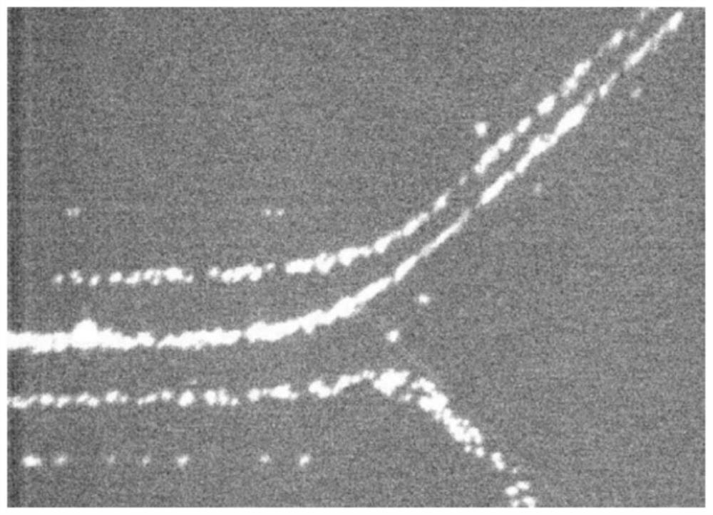 Device and method for screening particles within fluid sample