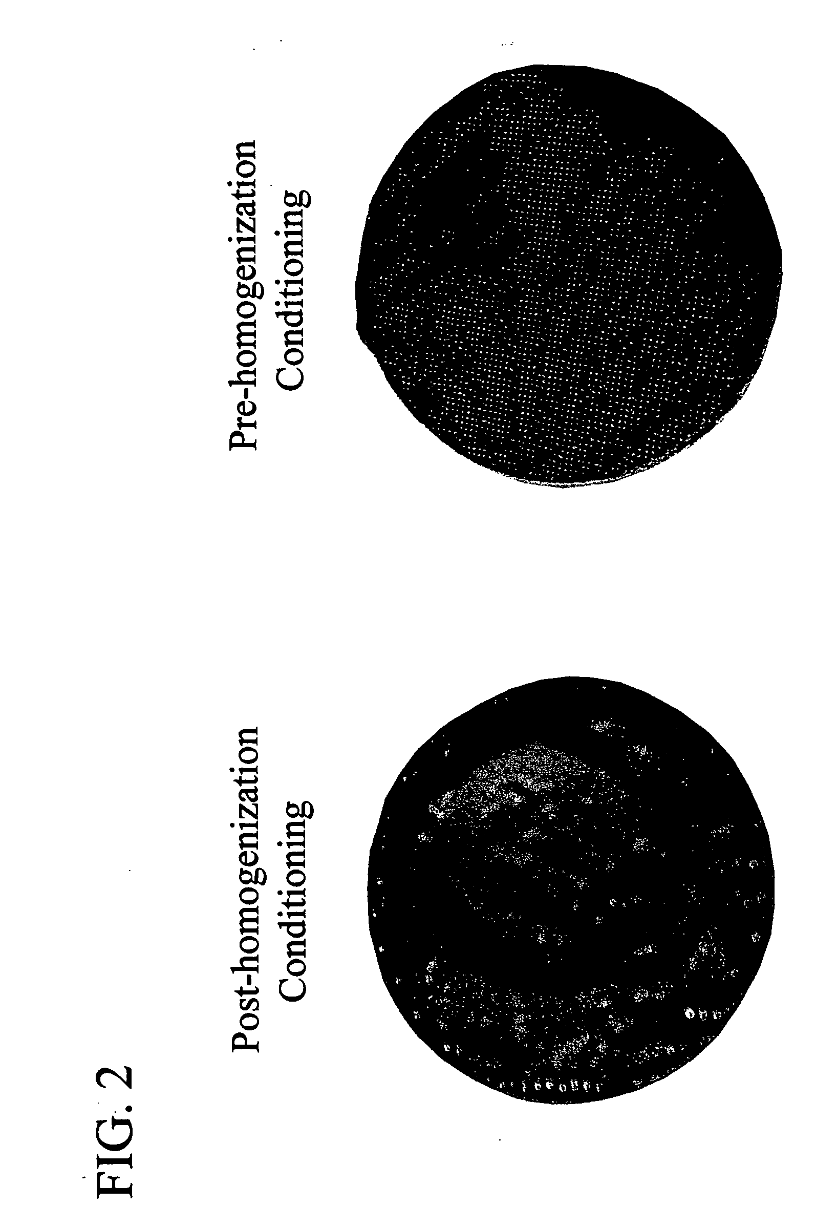 Process for protein extraction