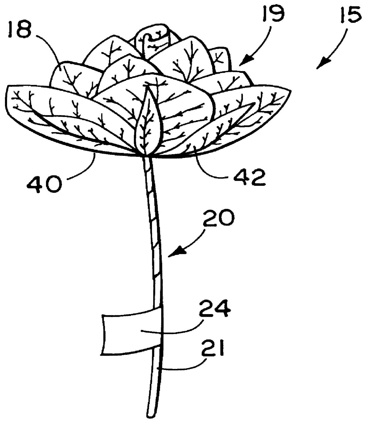 Eucalyptus floral product