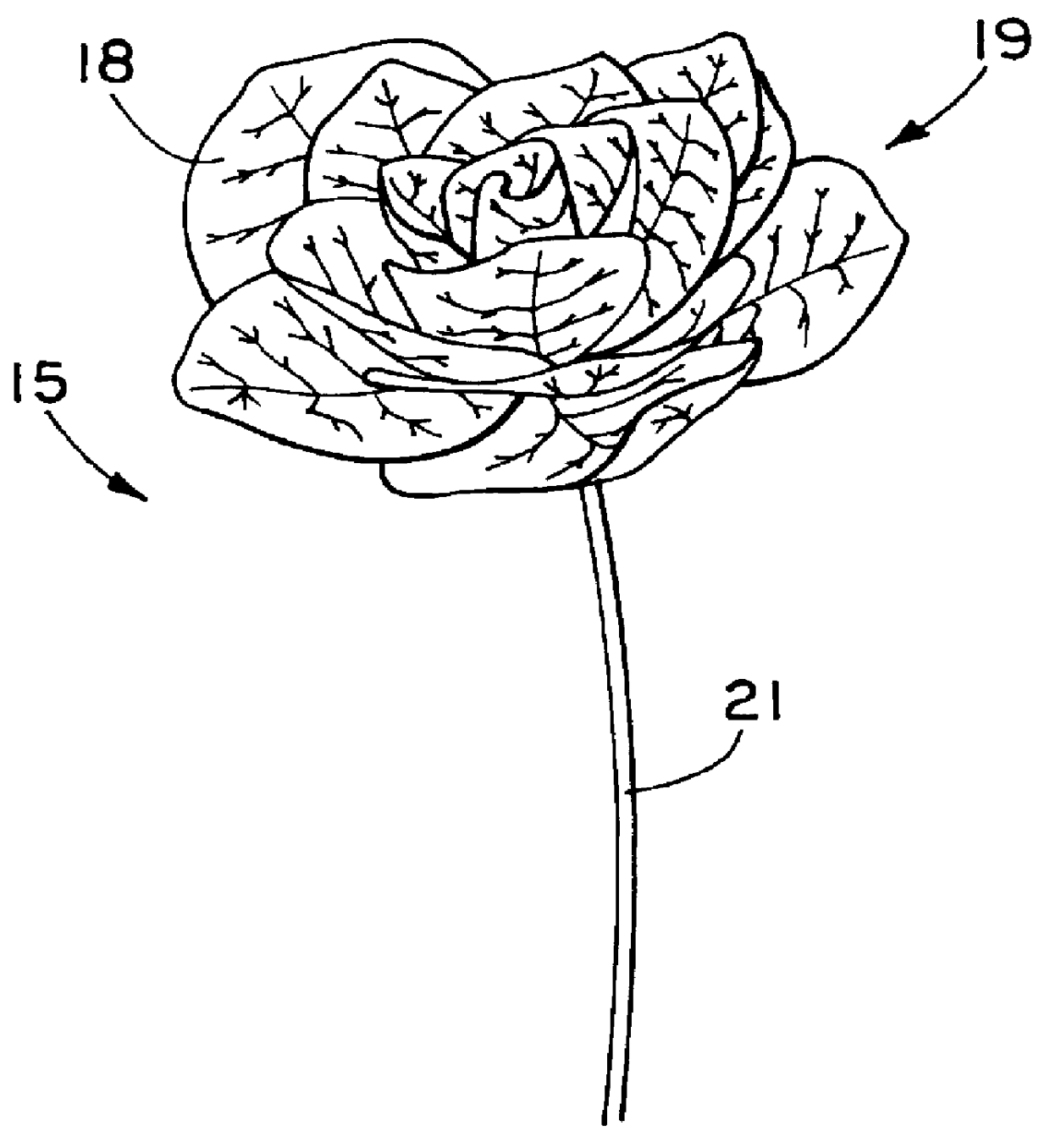 Eucalyptus floral product