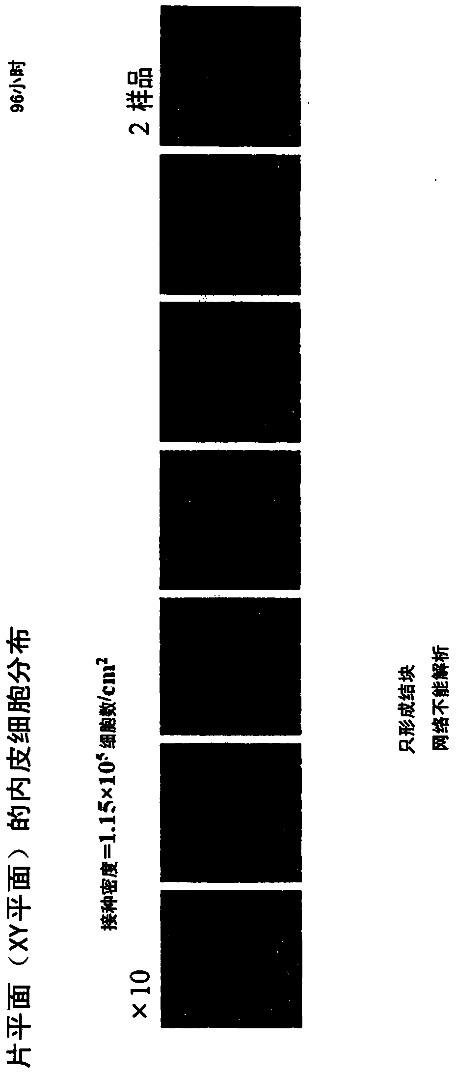 Cytokine-producing cell sheet and method for using same