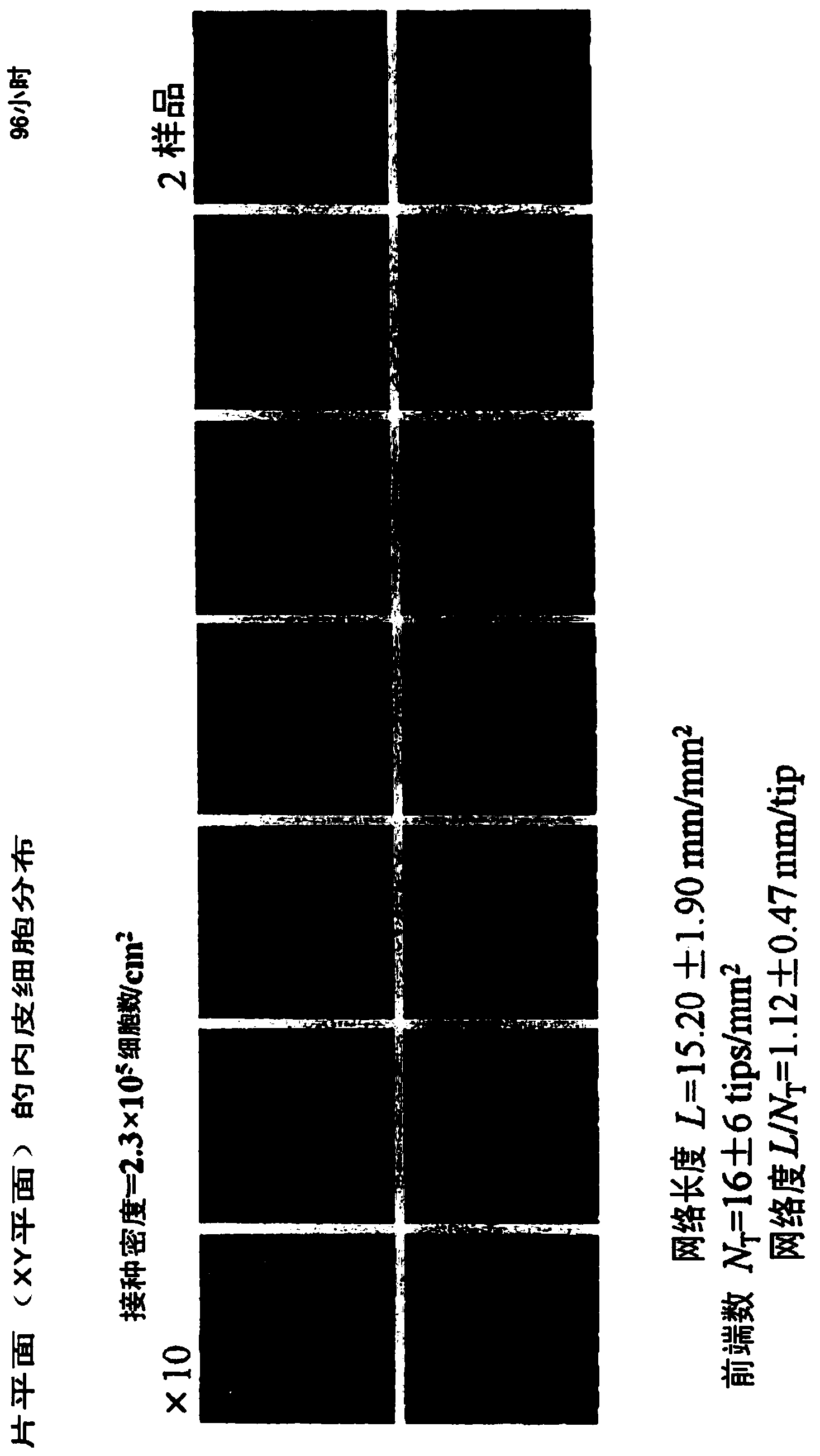 Cytokine-producing cell sheet and method for using same