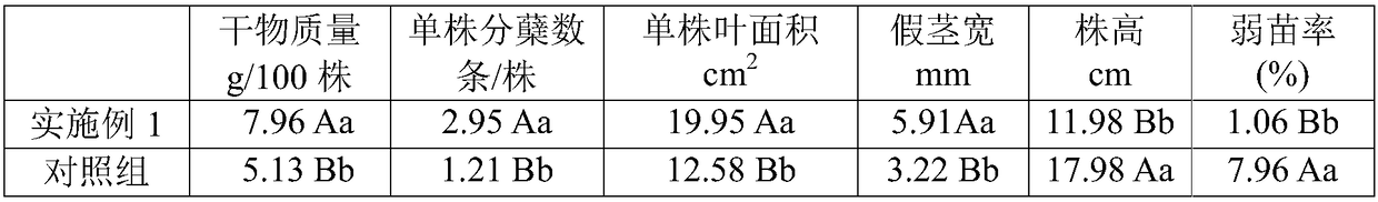 Special fertilizer for seedlings of fragrant glutinous rice and preparation method thereof