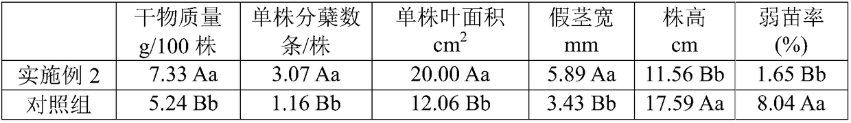 Special fertilizer for seedlings of fragrant glutinous rice and preparation method thereof