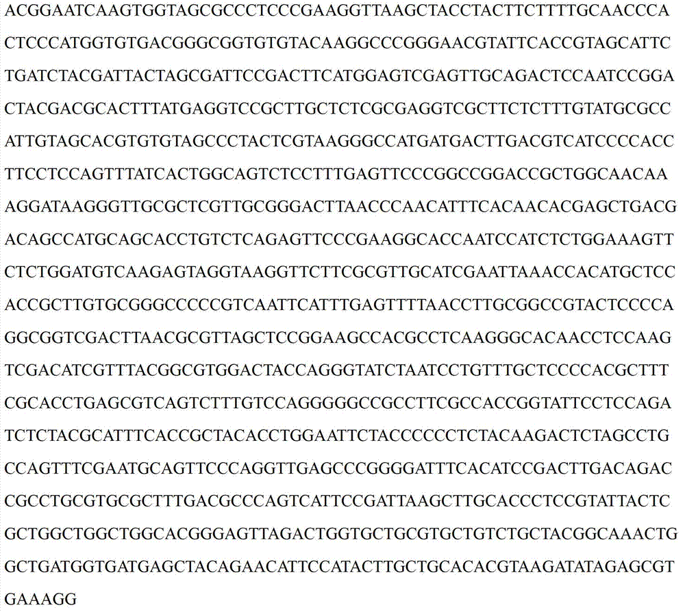 2-methyl-4-chlorophenoxyacetic acid weedicide degrading bacterium se08, and screening method and application thereof