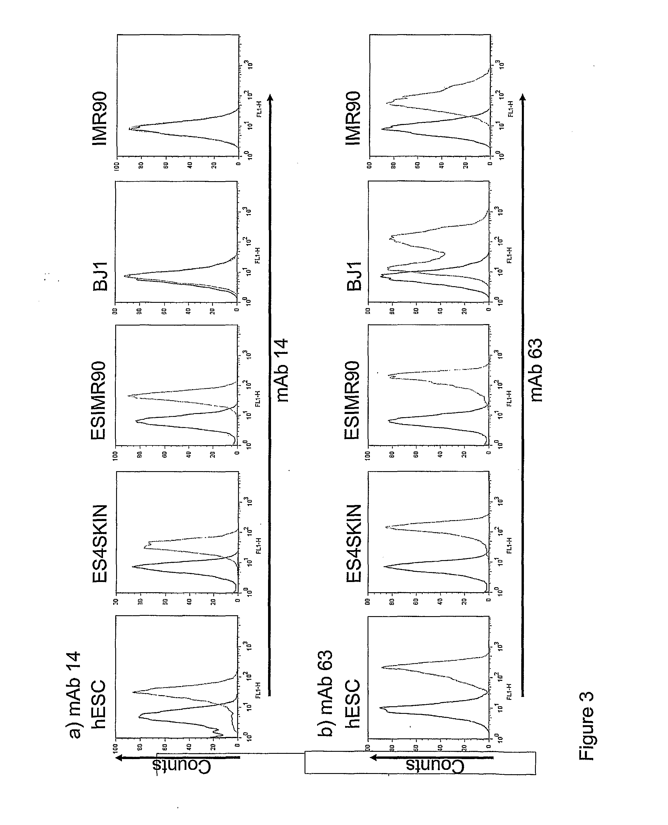 Markers of Induced Pluripotent Stem Cells