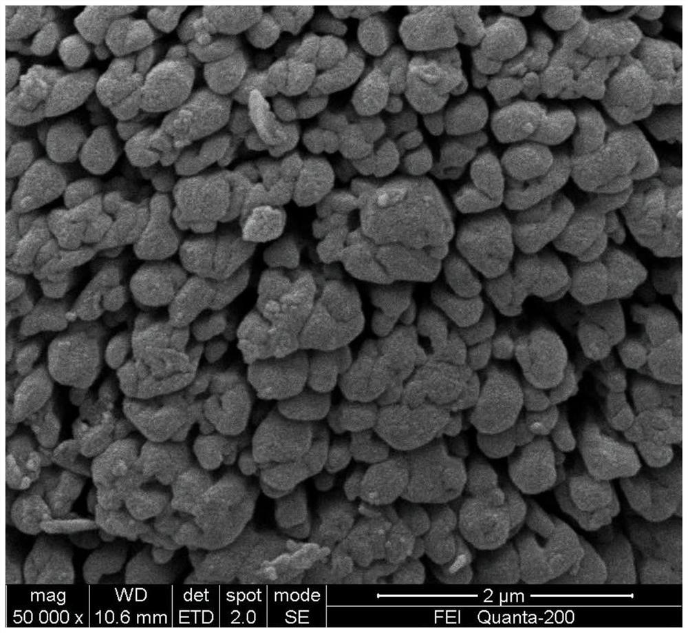 NbCr2 bonded WCrRuTaV hard alloy and preparation method thereof