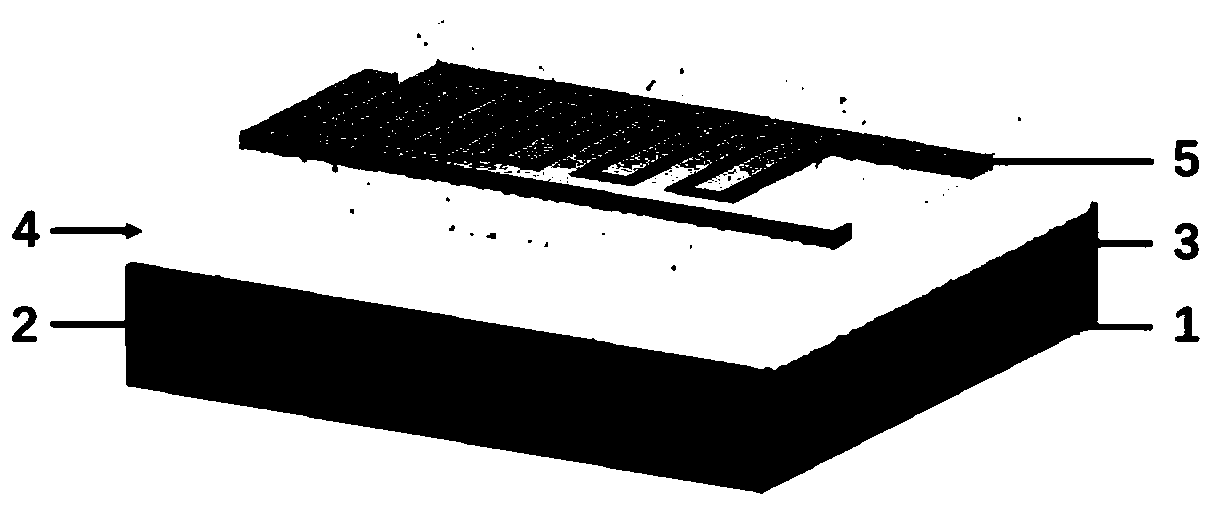 A kind of self-driven photodetector and its preparation method