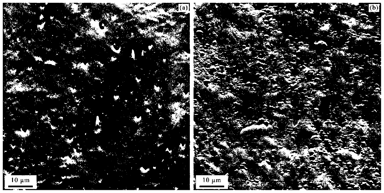 Method for improving surface quality of plastic metal electron back scattering diffraction sample