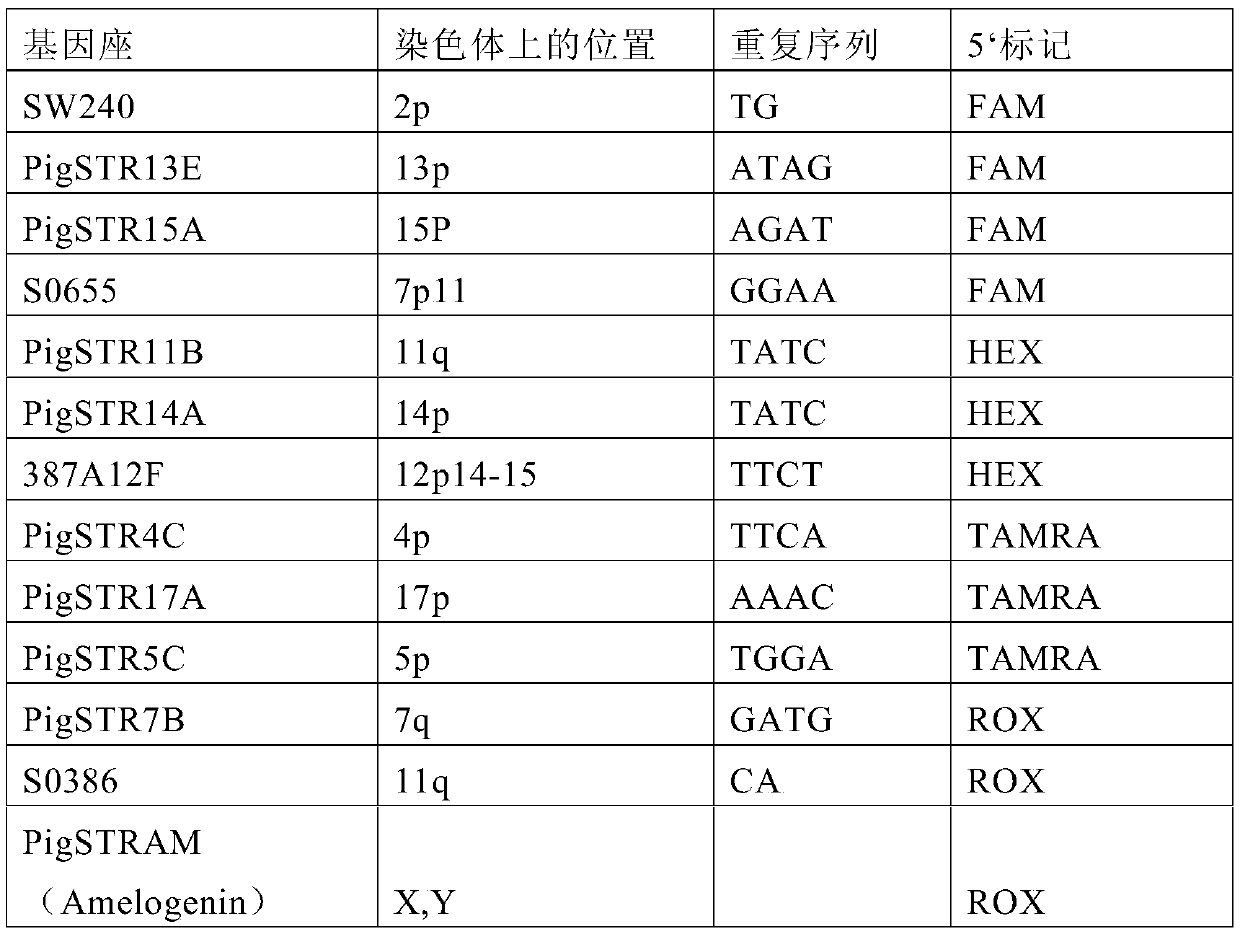 A method and system for individual identification and paternity testing of unknown pig samples