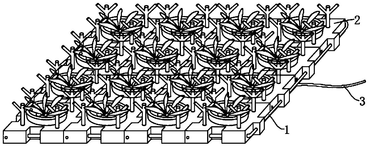 Ecological digestion system for chlorobenzene compounds in water body