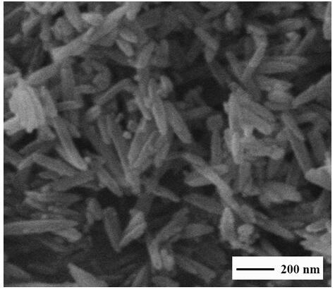 A kind of preparation method of α-Fe2O3 magnetic nanorod