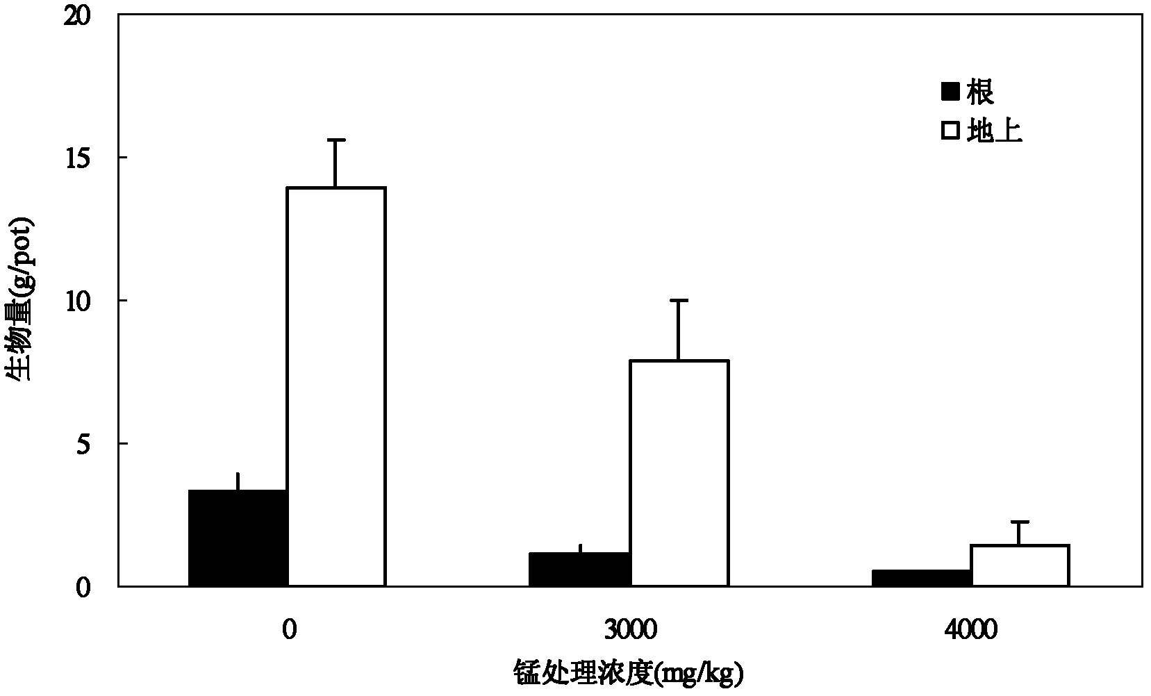 Method for repairing heavy metal polluted soil by using radix achyranthis bidentatae as manganese hyperaccumulator