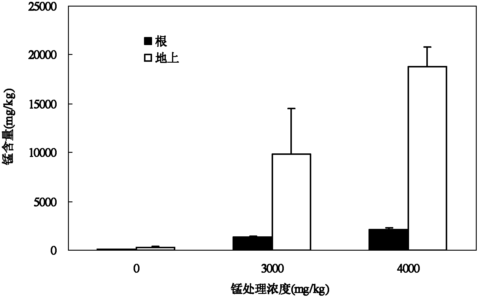 Method for repairing heavy metal polluted soil by using radix achyranthis bidentatae as manganese hyperaccumulator