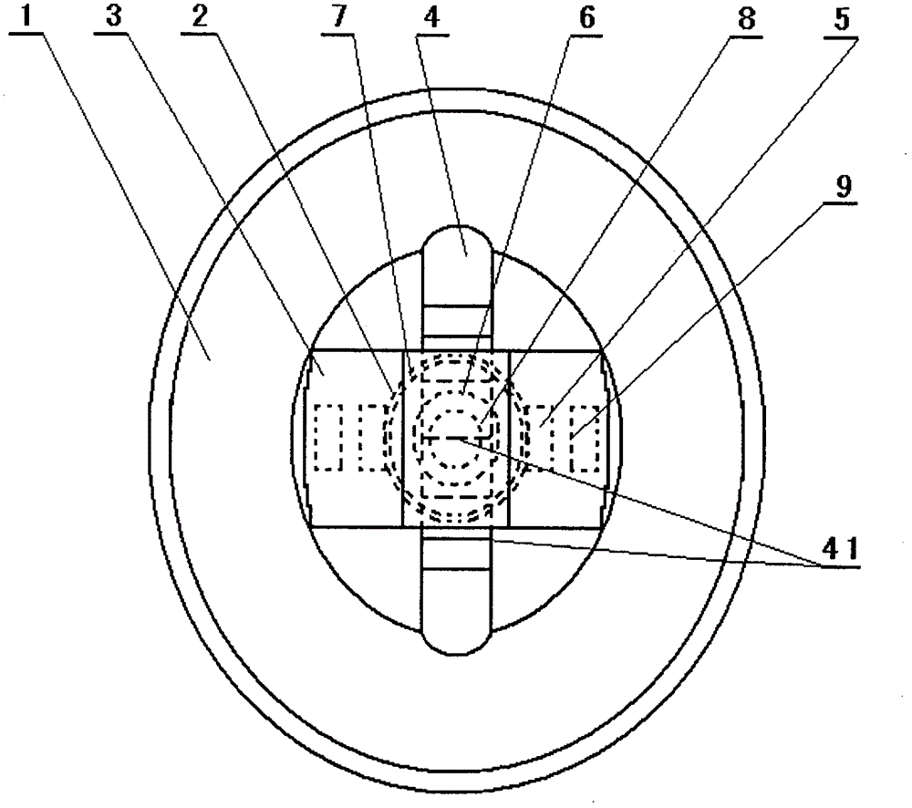 Pin-type transparent insulator