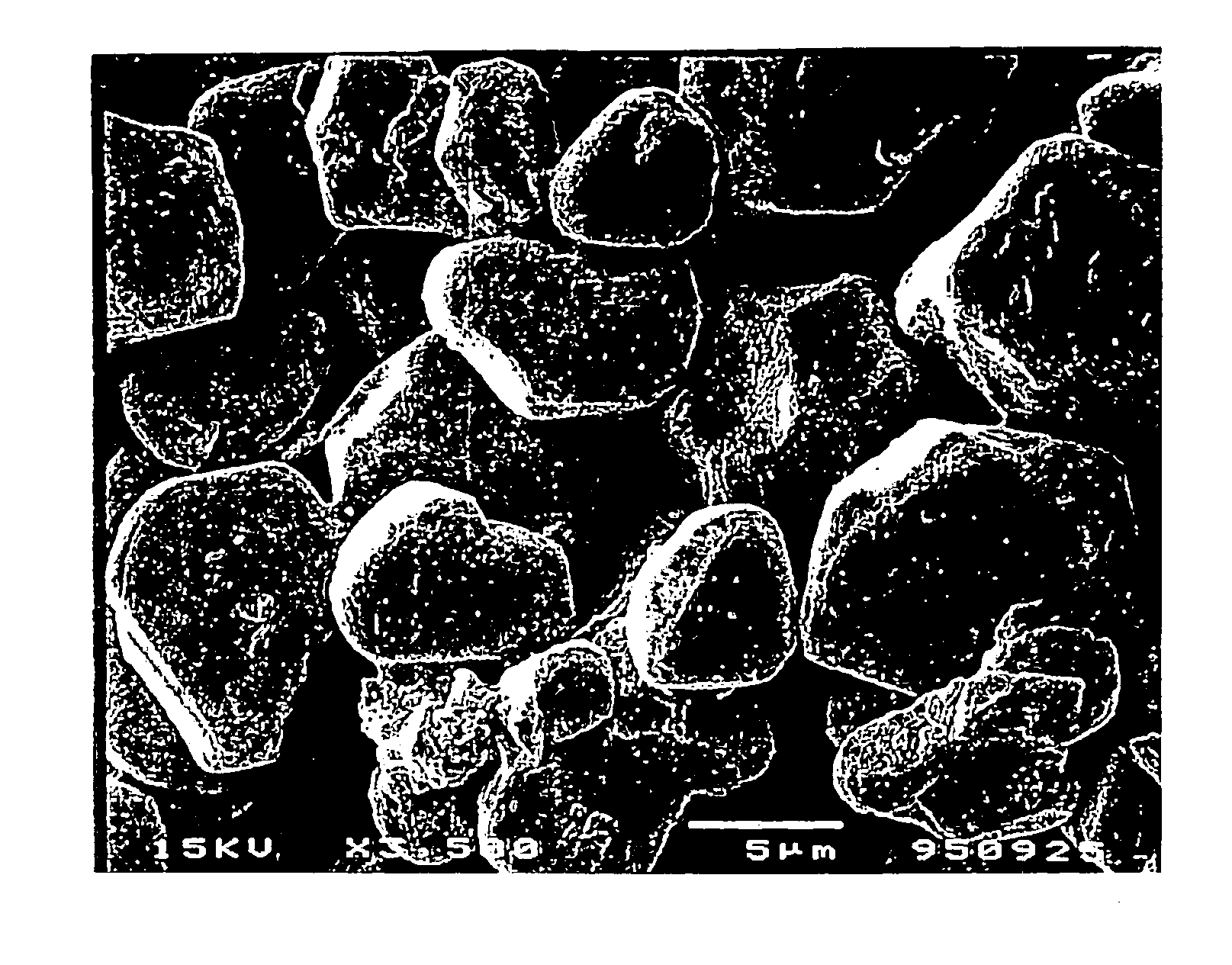 Electrode material for rechargeable batteries and process for the preparation thereof