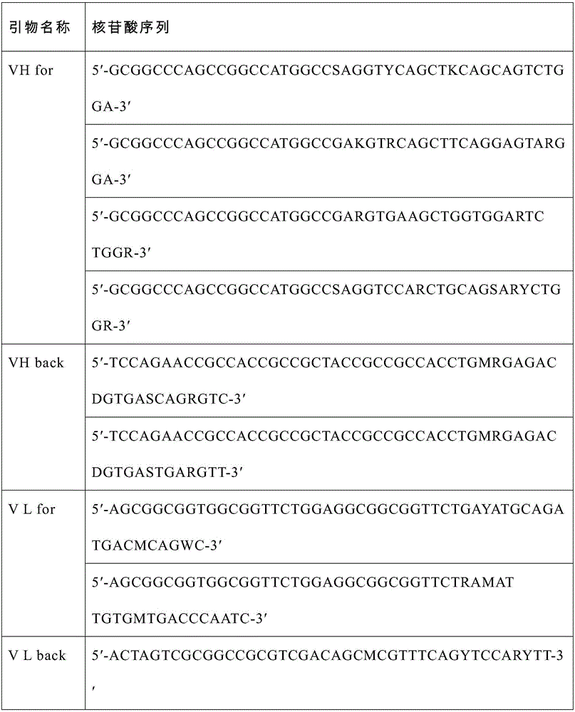 Construction method of expression vector for preparing membrane protein CD14 antibody