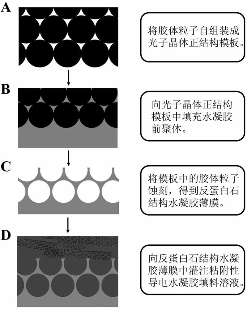 A stretchable adhesive conductive structural color hydrogel film and its preparation method