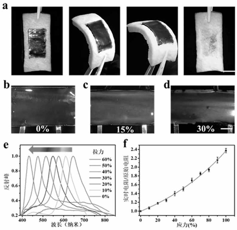 A stretchable adhesive conductive structural color hydrogel film and its preparation method