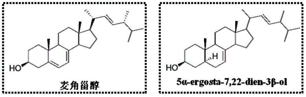 Method for preparing armillaria luteo-virens fruiting body anti-hepatoma activity sterol constituent