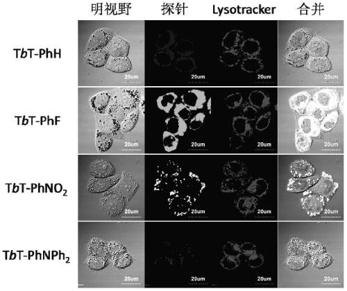 Thiophene[3,4-b]thiophene panchromatic fluorescent dye and its preparation method and application