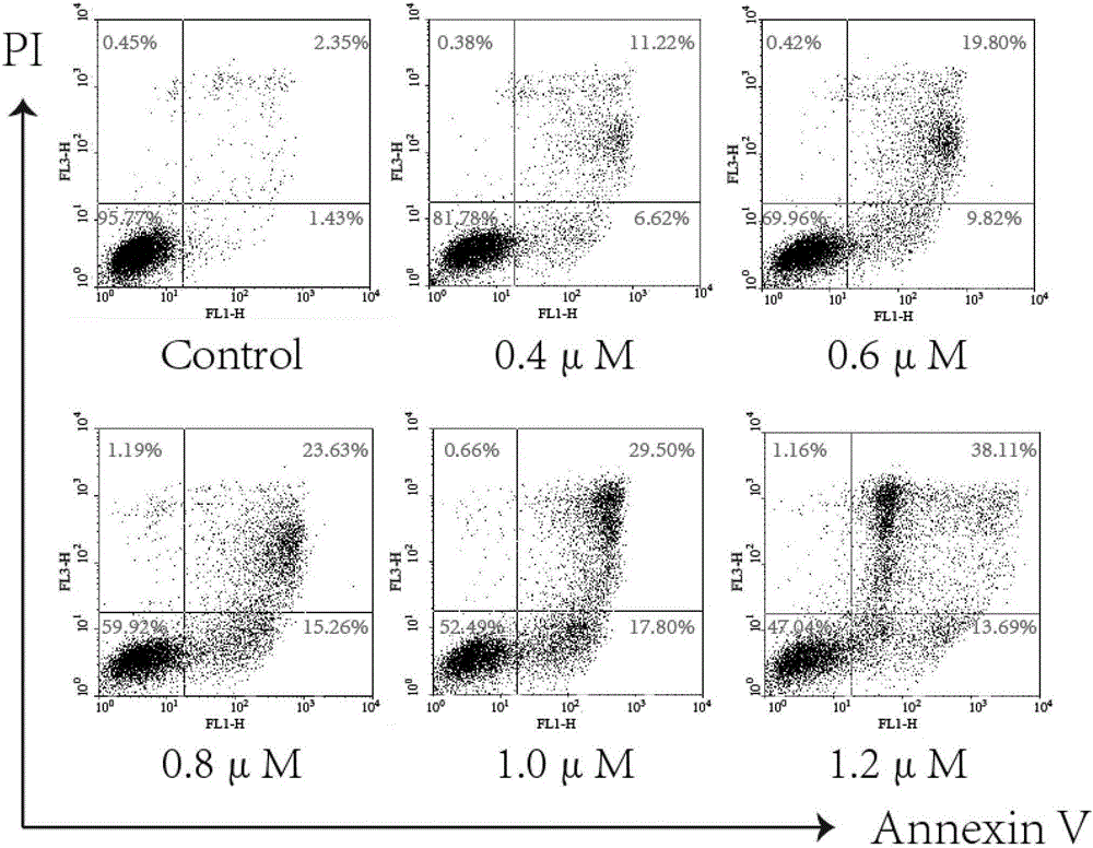 Mitochondria-targeted anti-tumor pentacyclic triterpene derivatives, preparation method and application thereof