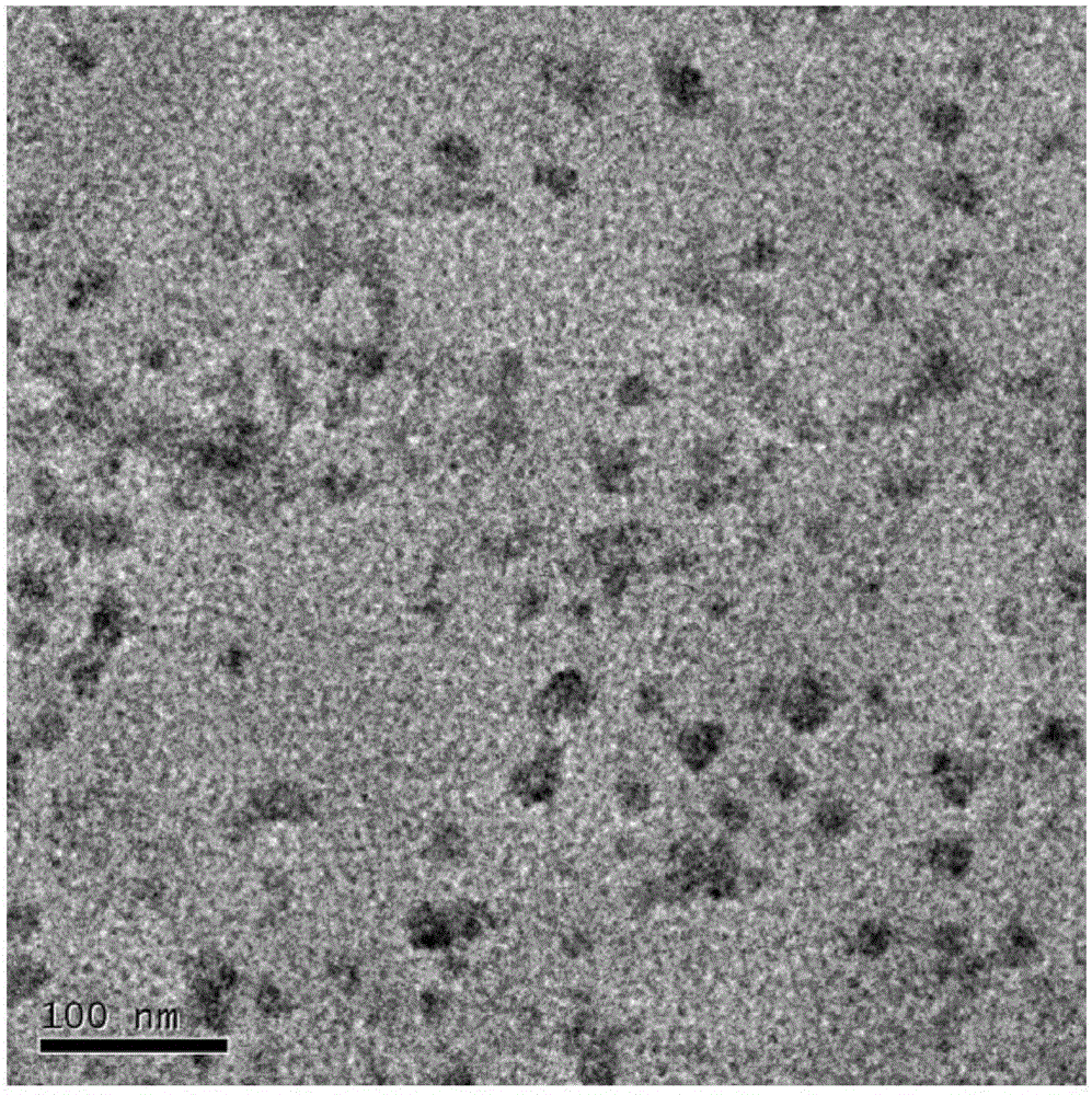 Nanometer drug-loading system as well as preparation method and application thereof