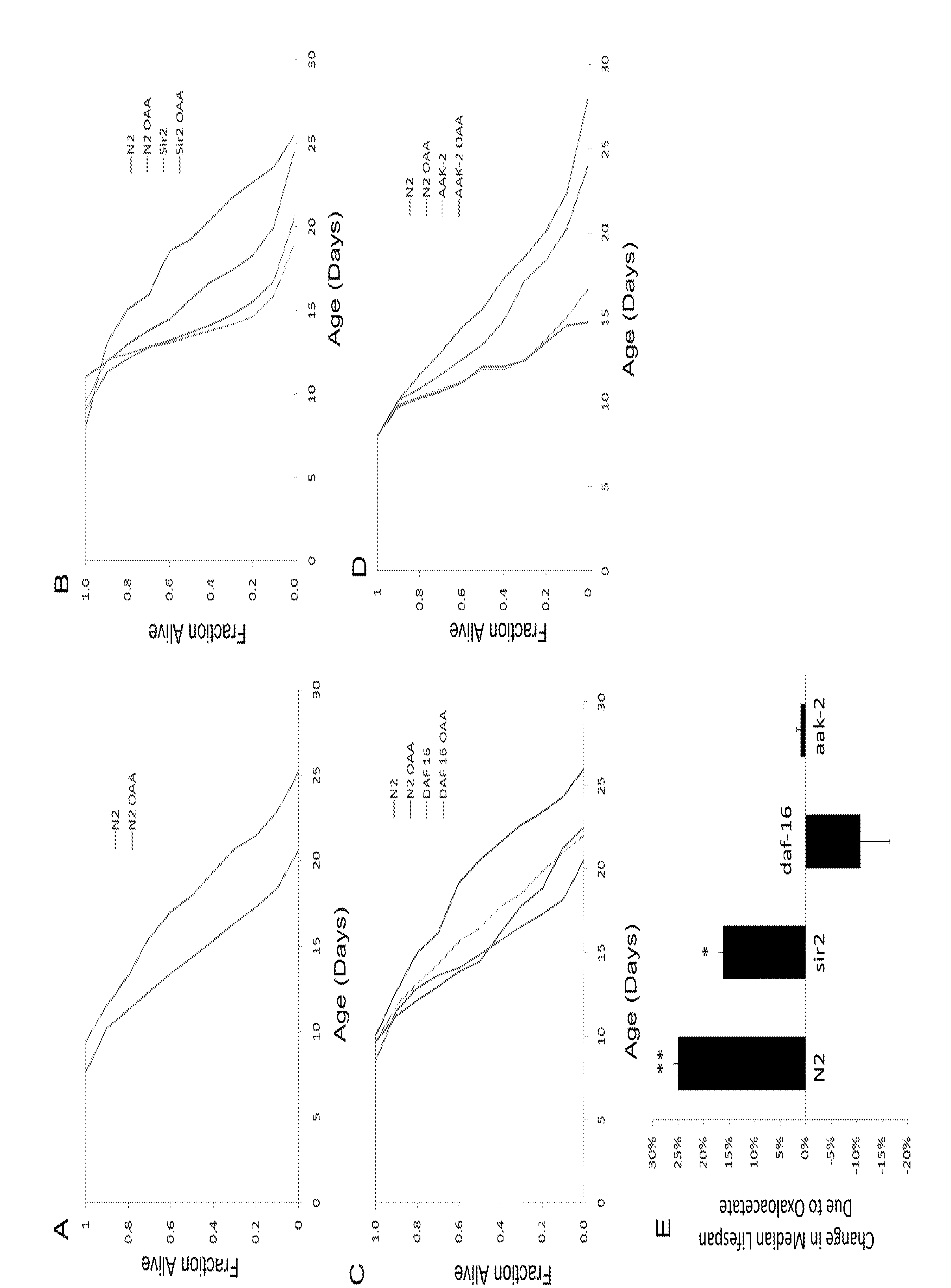 Activation of amp-protein activated kinase by oxaloacetate compounds