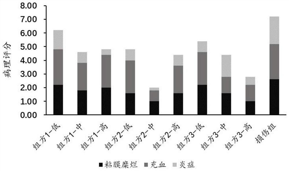 Composition with auxiliary protection effect on gastric mucosal injury and application