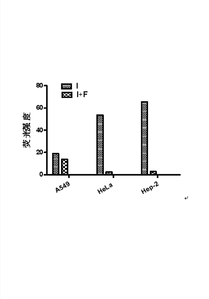 Water-soluble molecular target porphin photosensitizer and preparation method thereof