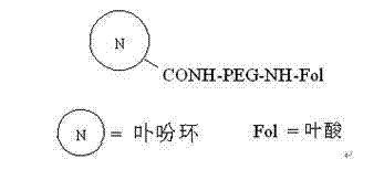 Water-soluble molecular target porphin photosensitizer and preparation method thereof