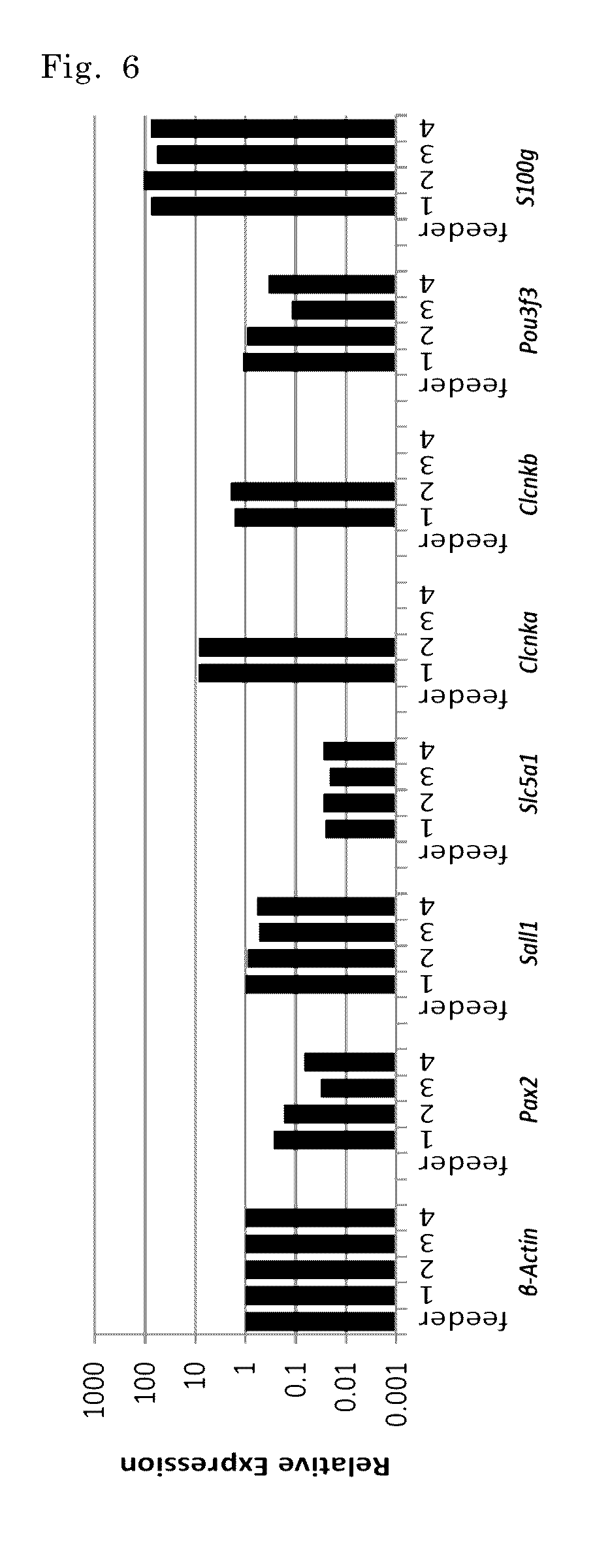 Method of inducing kidney from pluripotent stem cells