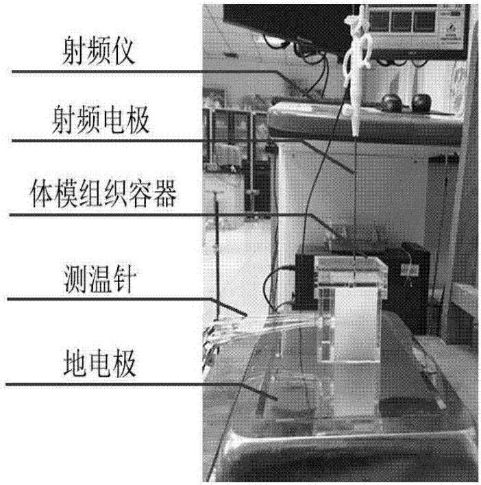 Biological tissue characteristic parameter representation method based on single-needle actual measurement