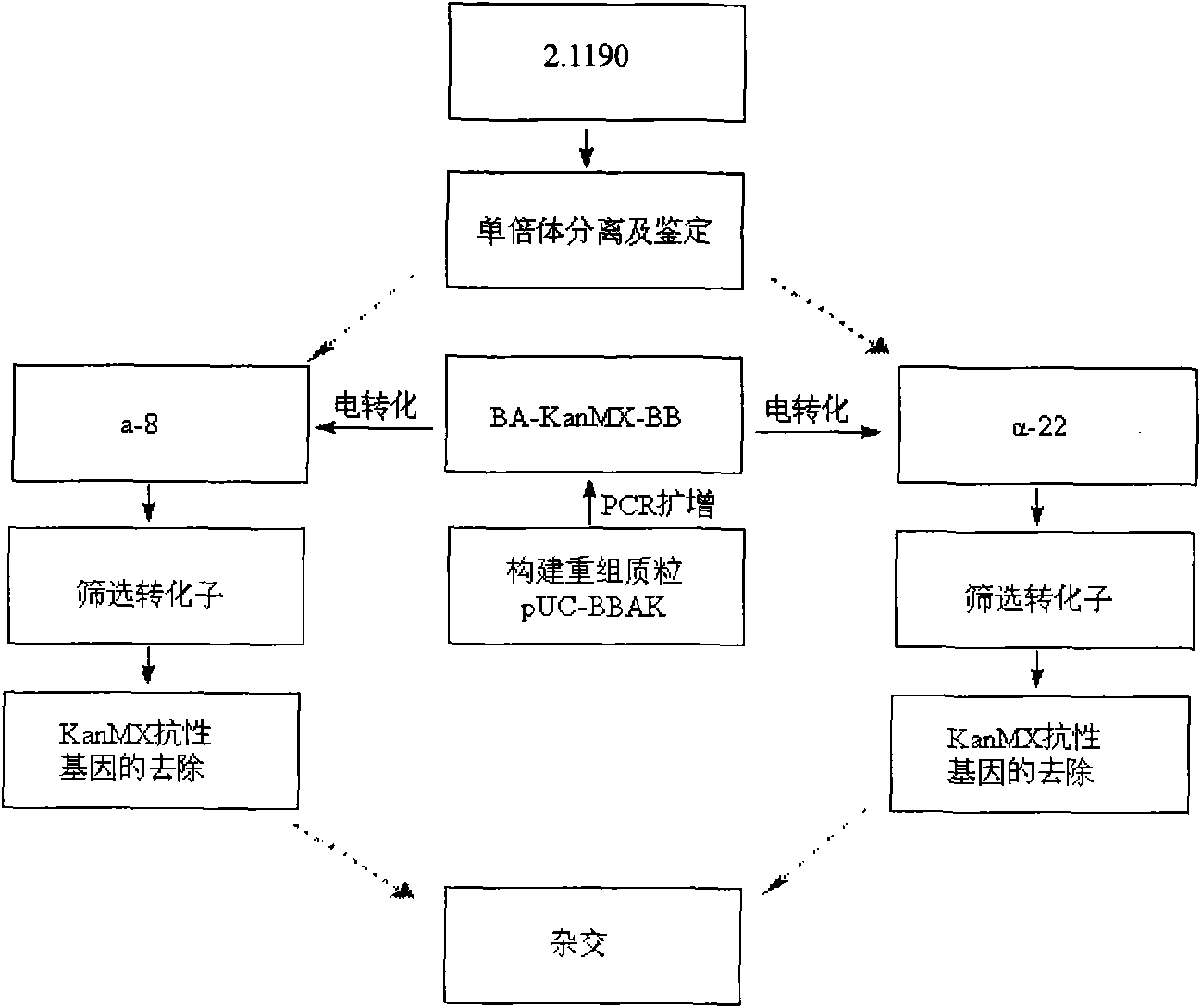 Low-yield higher-alcohol saccharomyces cerevisiae engineering bacterium and construction method thereof