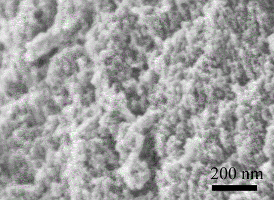 Preparation method of magnetic precious metal heterogeneous catalyst