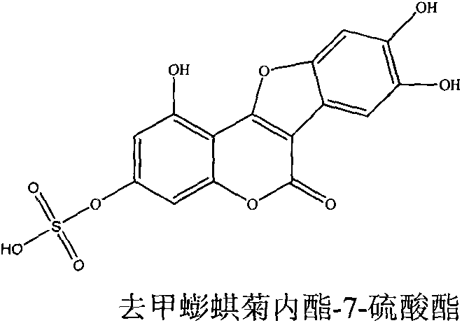 Application of demethylwedelolactone-7-sulphate in preparation of anti-pulmonary fibrosis medicine