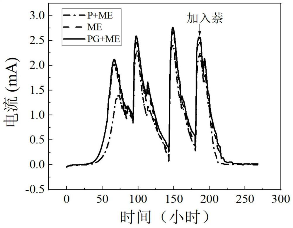 Application of induced polyaniline loaded graphene modified electrode reactor and polycyclic aromatic hydrocarbon removal method