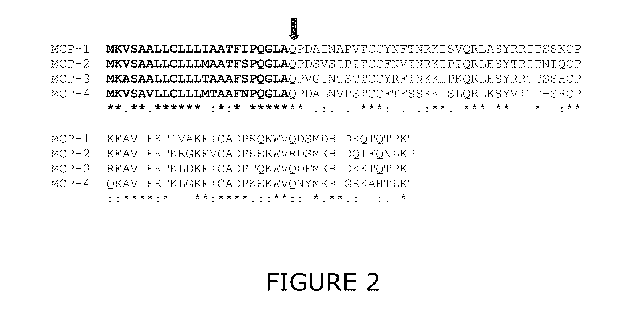 Novel diagnostic method